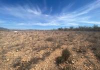Venta - Terreno - Pinoso - Rural location