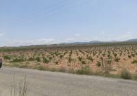 Venta - Terreno - Pinoso - Rural location