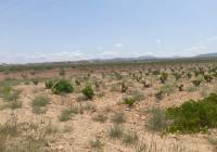 Venta - Terreno - Pinoso - Rural location