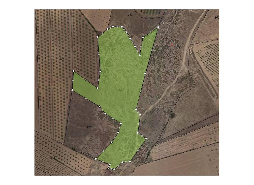 Venta - Terreno - Pinoso - Rural location