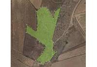 Venta - Terreno - Pinoso - Rural location