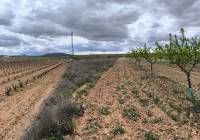 Venta - Terreno - Pinoso - Rural location