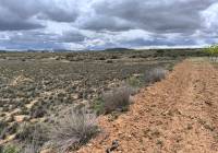 Venta - Terreno - Pinoso - Rural location