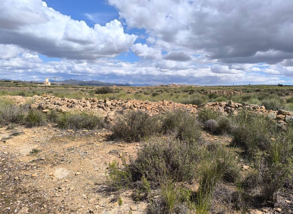 Venta - Terreno - Pinoso - Rural location