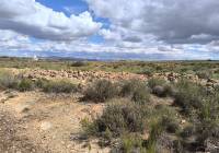 Venta - Terreno - Pinoso - Rural location