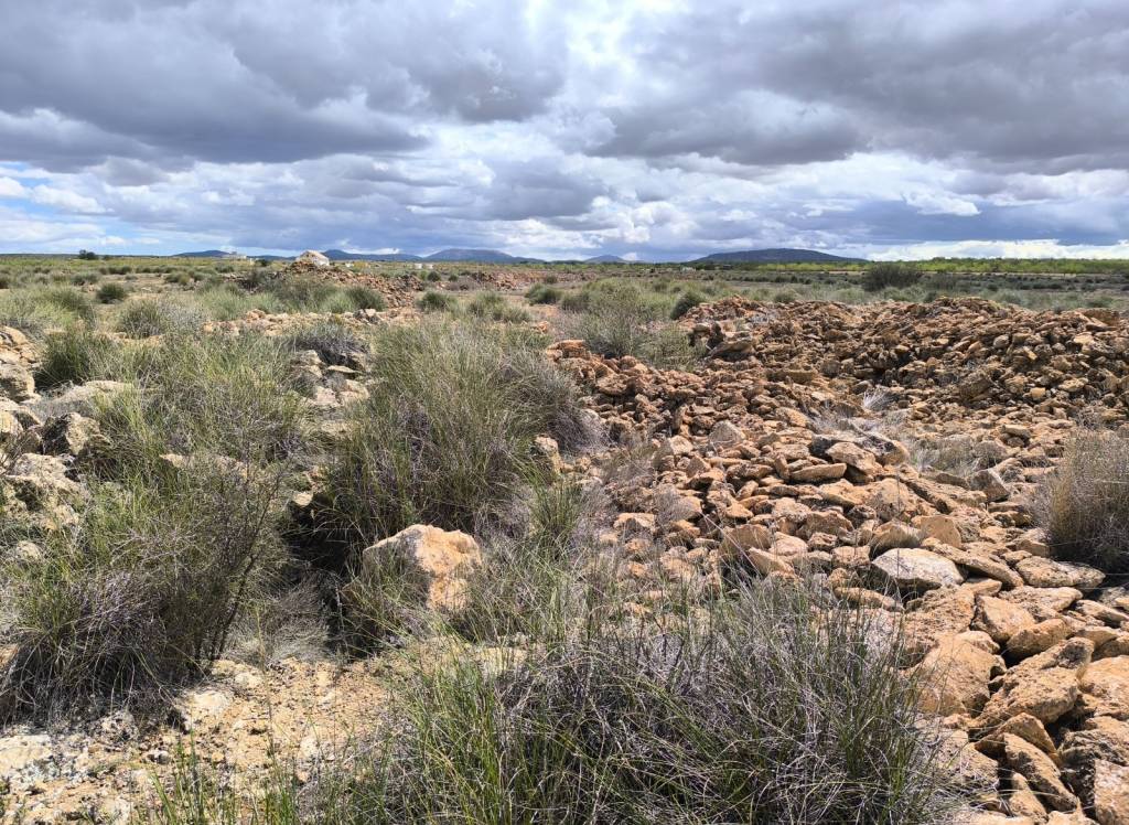 Venta - Terreno - Pinoso - Rural location