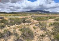 Venta - Terreno - Pinoso - Rural location