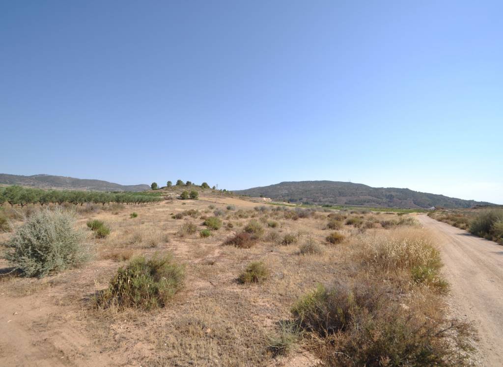 Venta - Terreno - Pinoso - Rural location