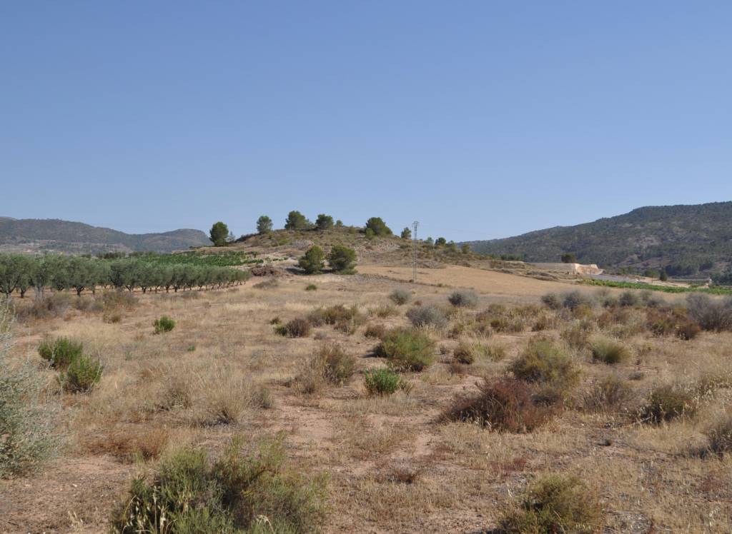 Venta - Terreno - Pinoso - Rural location