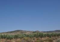 Venta - Terreno - Pinoso - Rural location