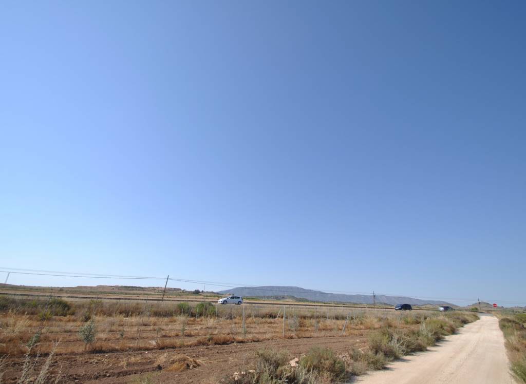 Venta - Terreno - Pinoso - Rural location