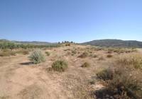 Venta - Terreno - Pinoso - Rural location