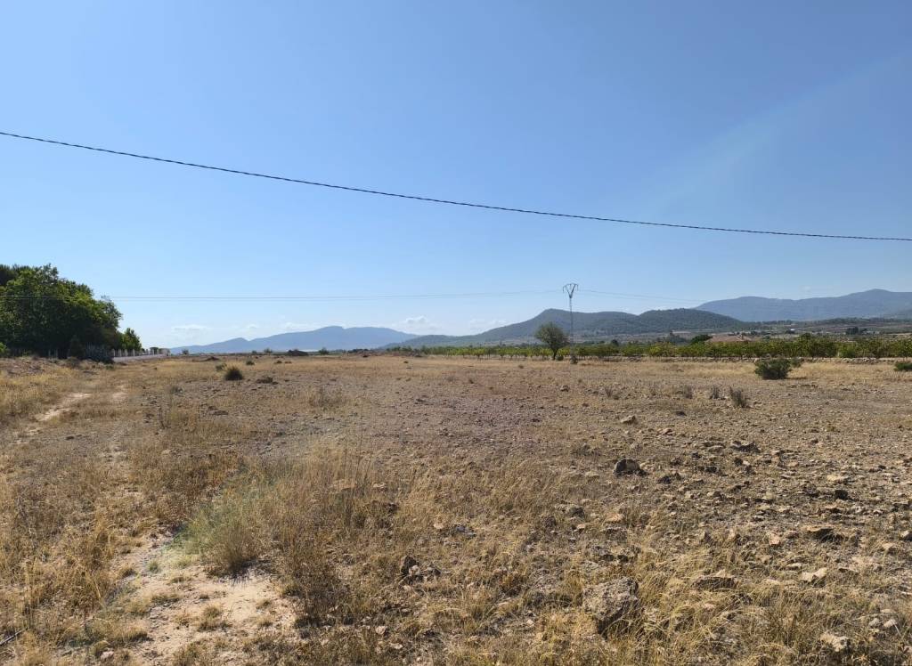 Venta - Terreno - Pinoso - Rural location