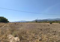 Venta - Terreno - Pinoso - Rural location
