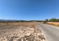 Venta - Terreno - Pinoso - Rural location
