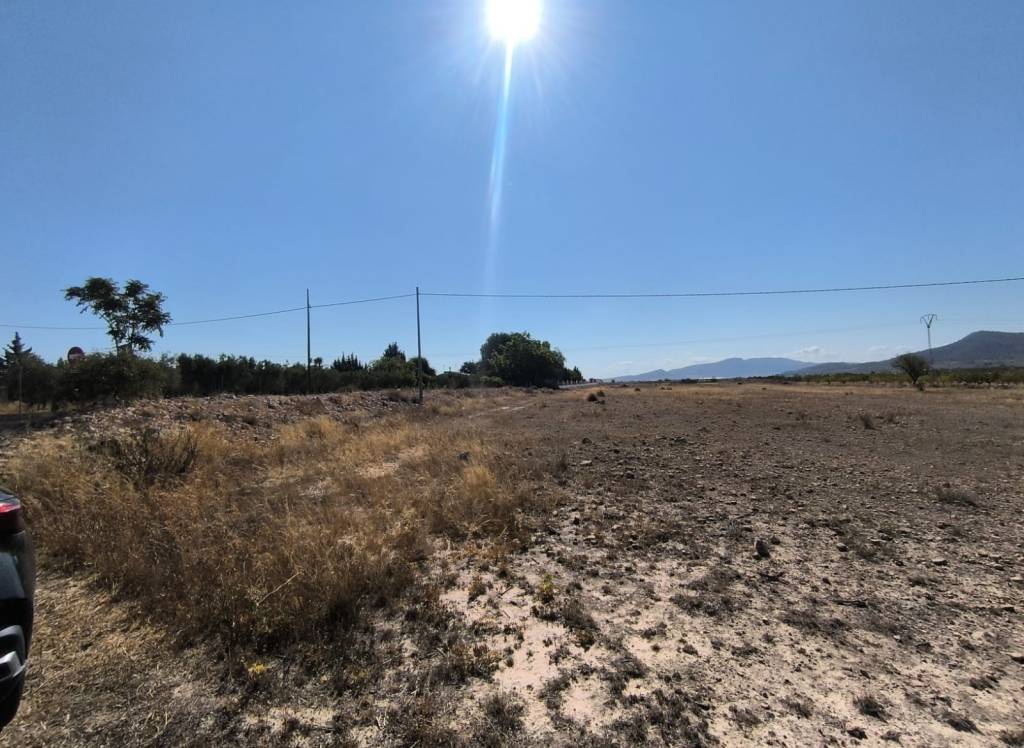 Venta - Terreno - Pinoso - Rural location