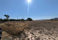 Venta - Terreno - Pinoso - Rural location