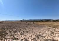 Venta - Terreno - Pinoso - Rural location