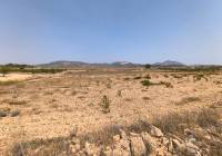 Venta - Terreno - Pinoso - Rural location