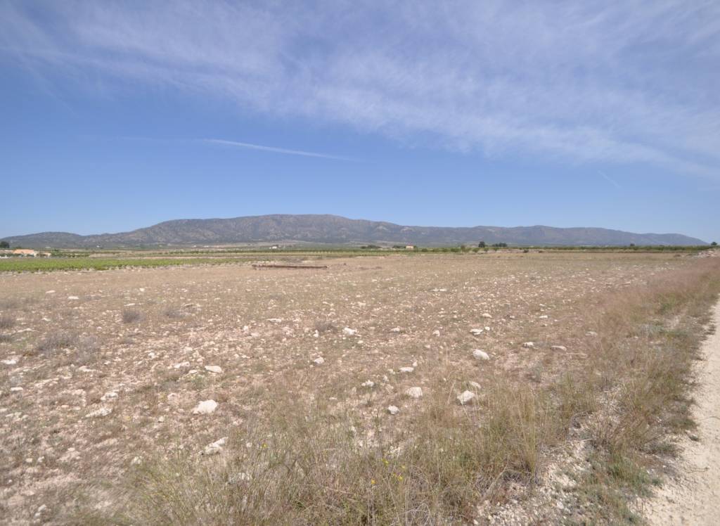 Venta - Terreno - Pinoso - Rural location