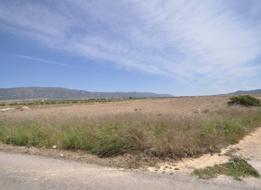 Venta - Terreno - Pinoso - Rural location