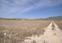 Venta - Terreno - Pinoso - Rural location