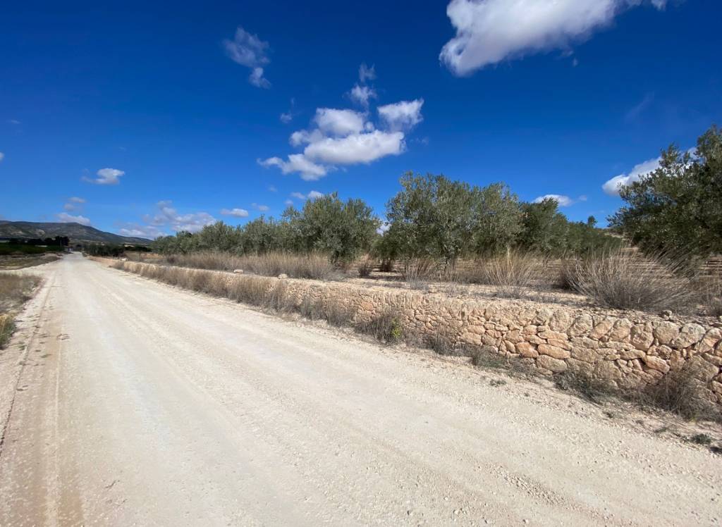 Venta - Terreno - Pinoso