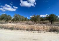 Venta - Terreno - Pinoso