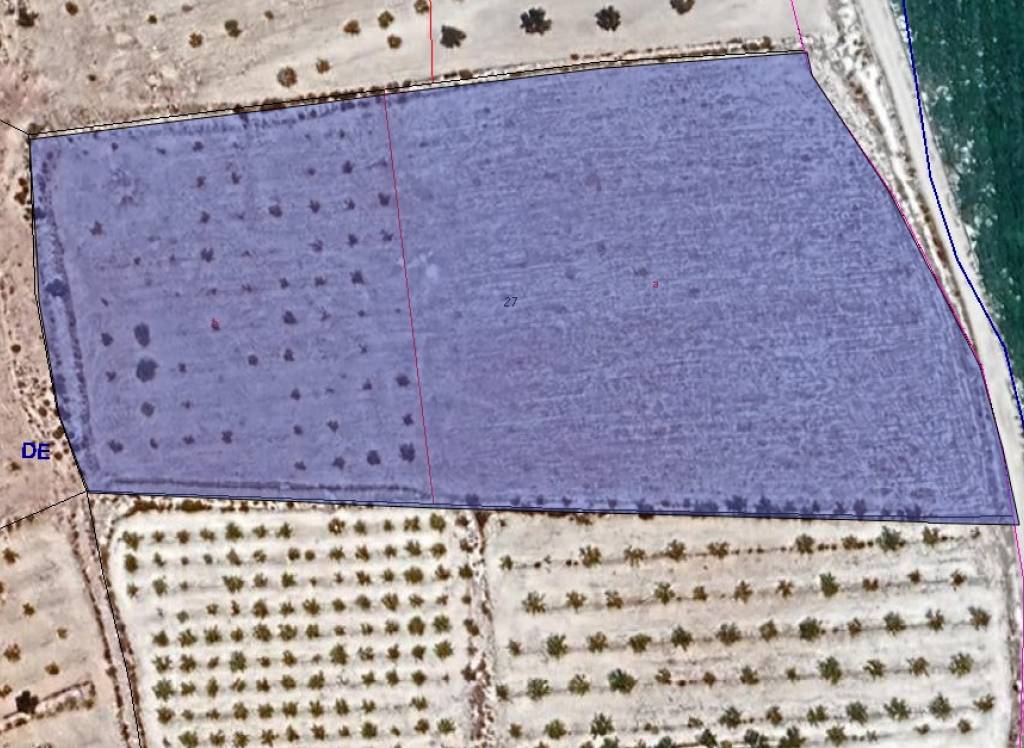 Venta - Terreno - Pinoso