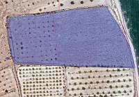 Venta - Terreno - Pinoso