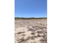 Venta - Terreno - Pinoso