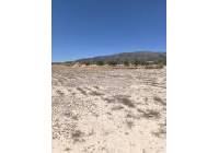 Venta - Terreno - Pinoso