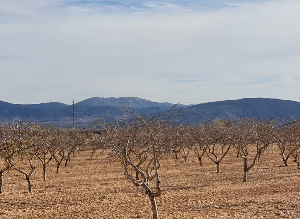 Venta - Terreno - Raspay - Edge of town