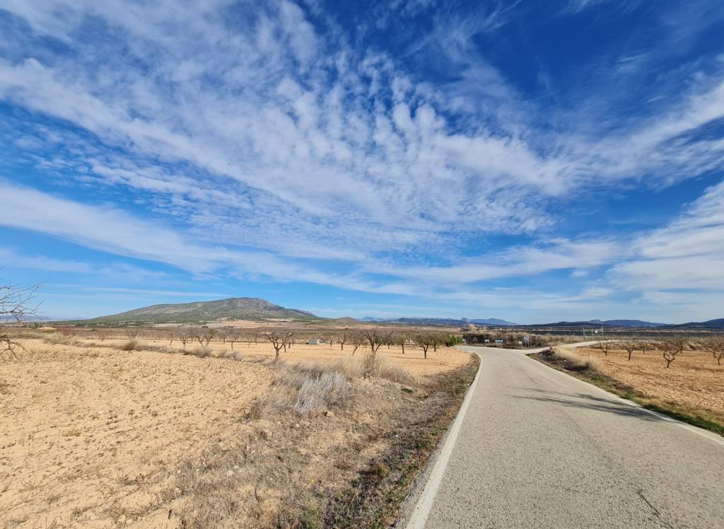 Venta - Terreno - Raspay - Edge of town