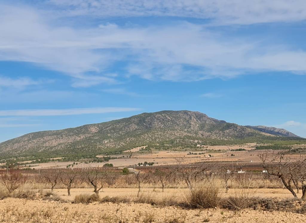 Venta - Terreno - Raspay - Edge of town