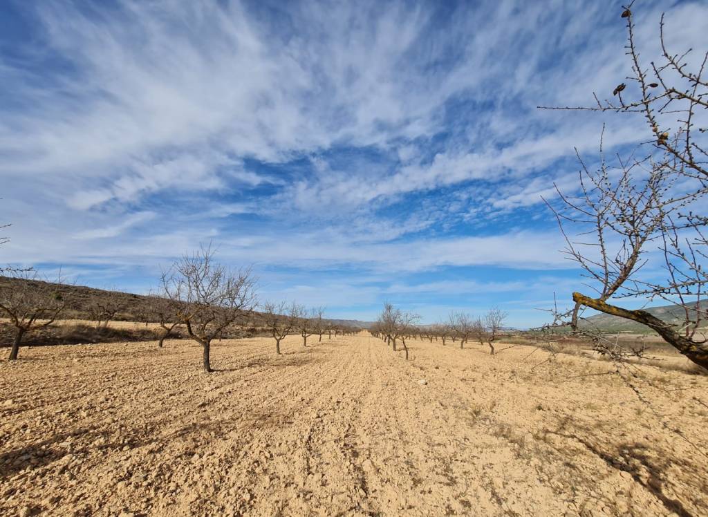 Venta - Terreno - Raspay - Edge of town