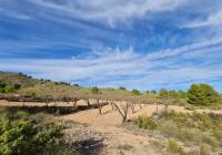 Venta - Terreno - Raspay - Rural location