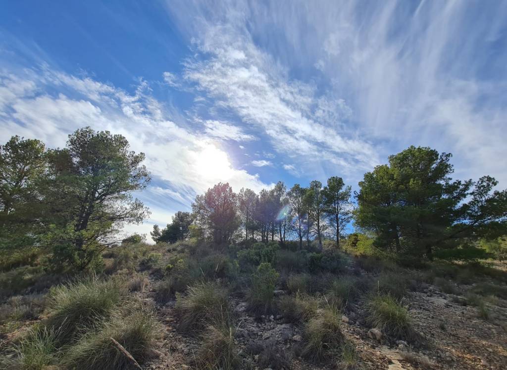 Venta - Terreno - Raspay - Rural location