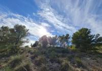 Venta - Terreno - Raspay - Rural location