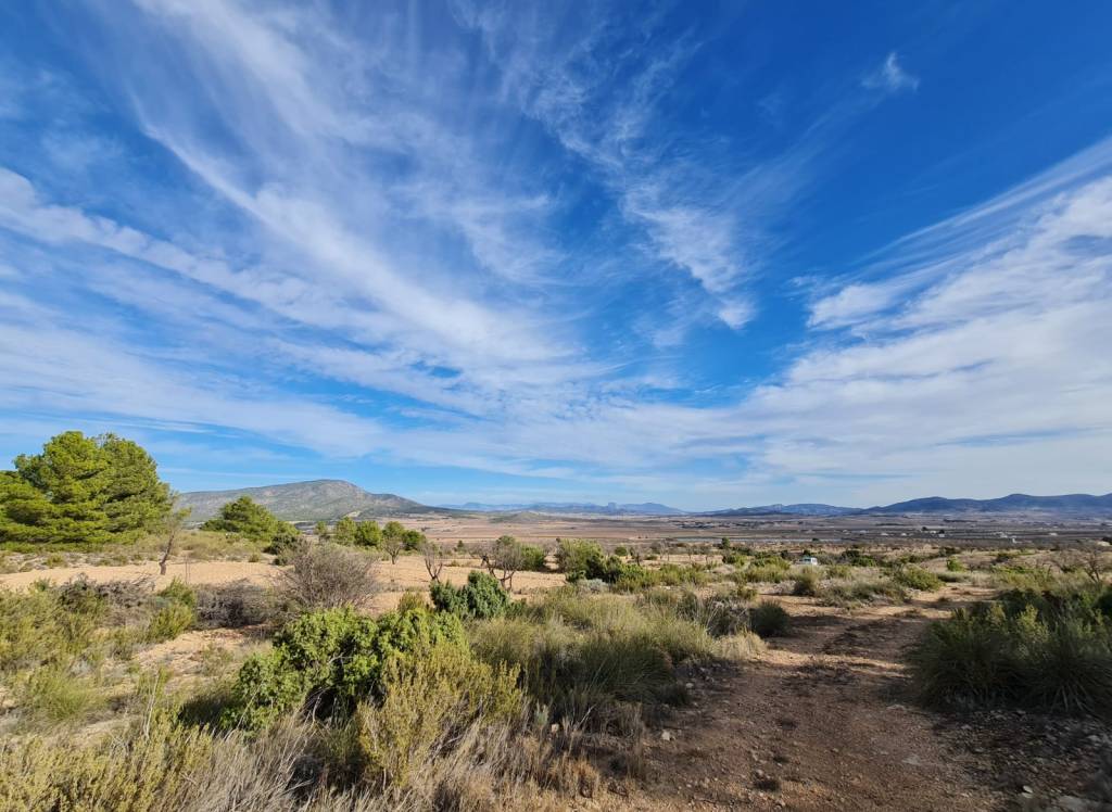 Venta - Terreno - Raspay - Rural location