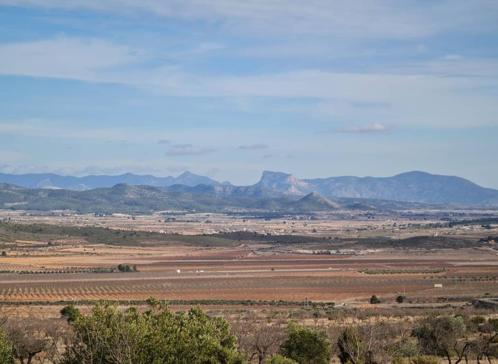 Venta - Terreno - Raspay - Rural location