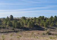 Venta - Terreno - Raspay - Rural location