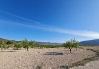 Venta - Terreno - Raspay - Rural location