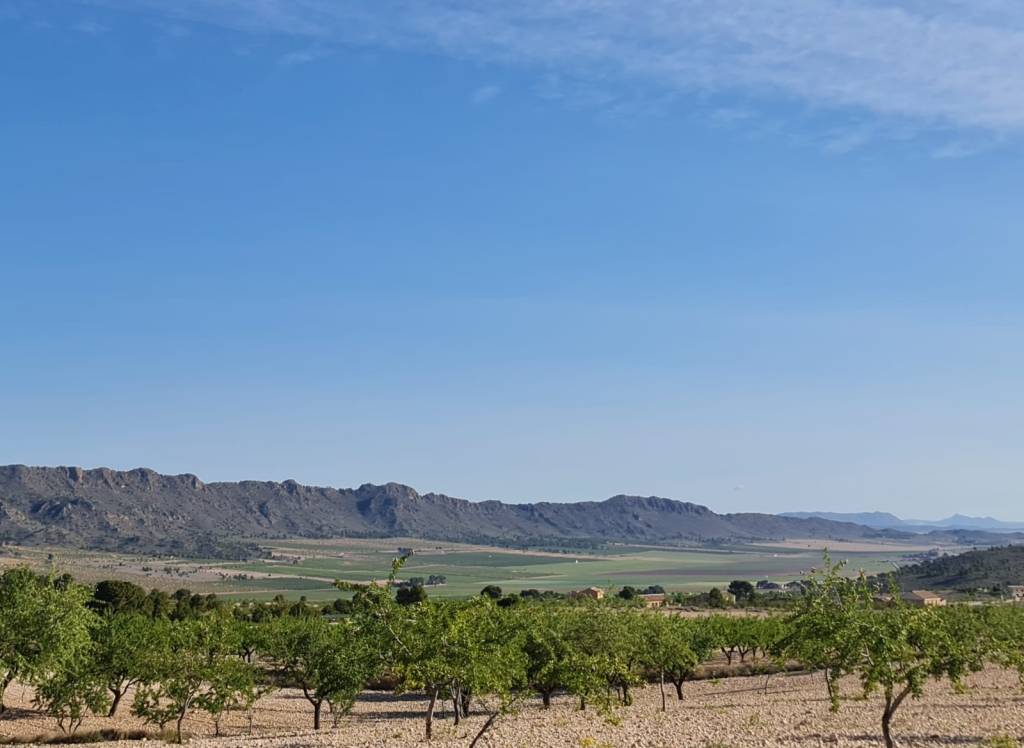 Venta - Terreno - Raspay - Rural location