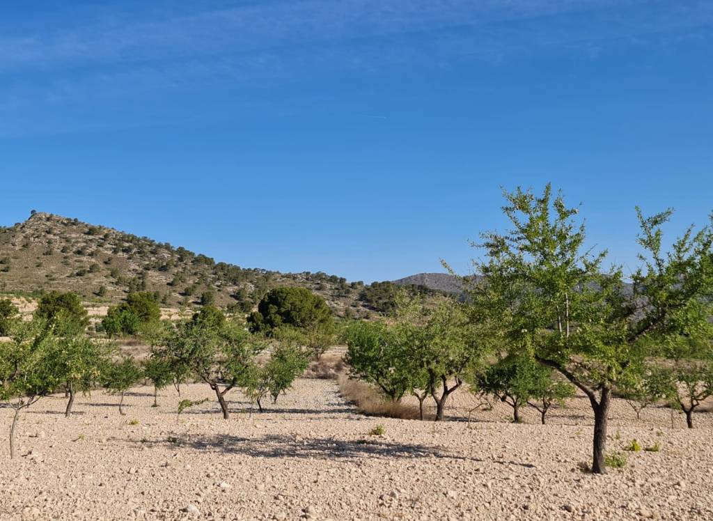 Venta - Terreno - Raspay - Rural location