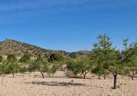 Venta - Terreno - Raspay - Rural location