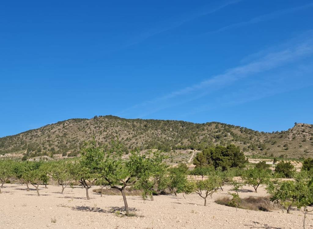 Venta - Terreno - Raspay - Rural location