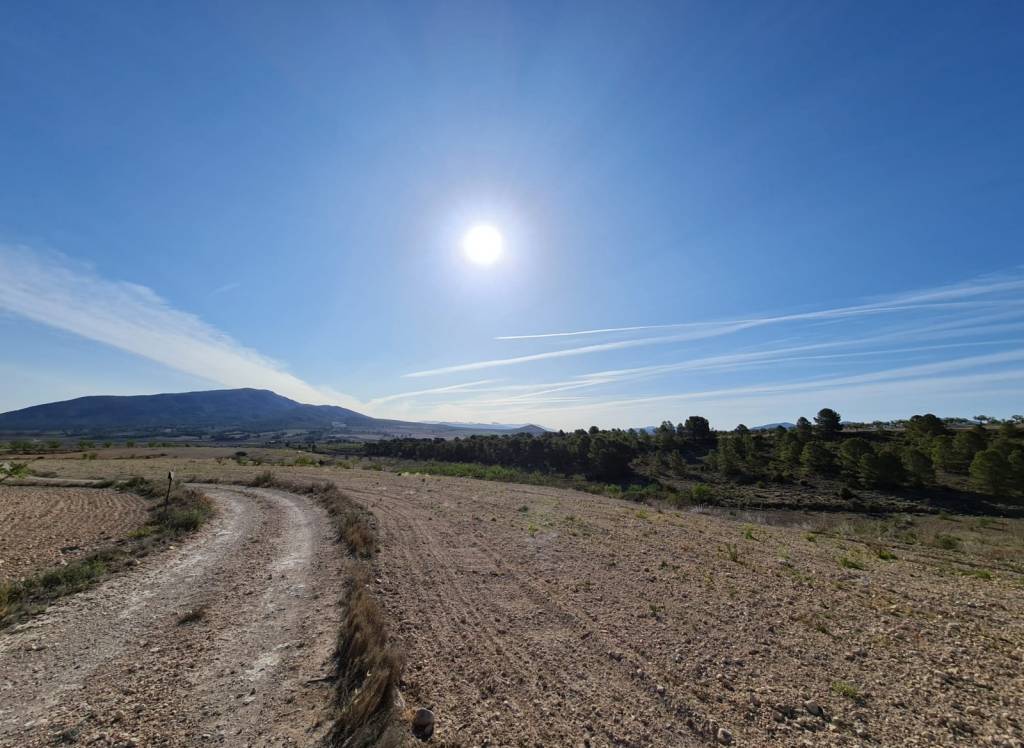 Venta - Terreno - Raspay - Rural location