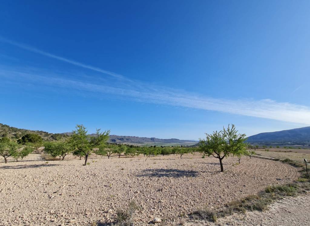 Venta - Terreno - Raspay - Rural location