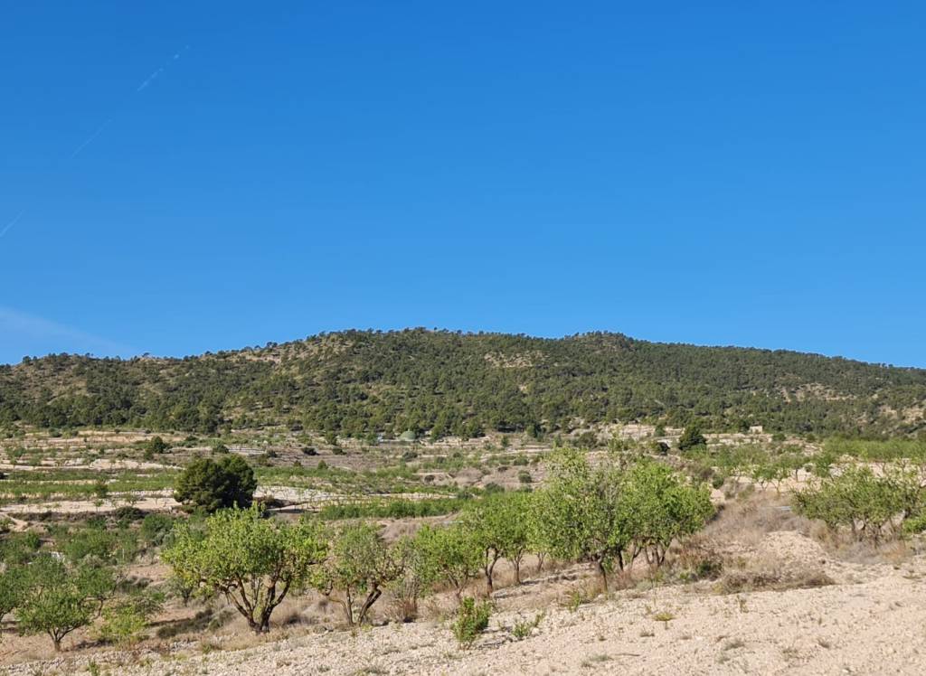 Venta - Terreno - Raspay - Rural location